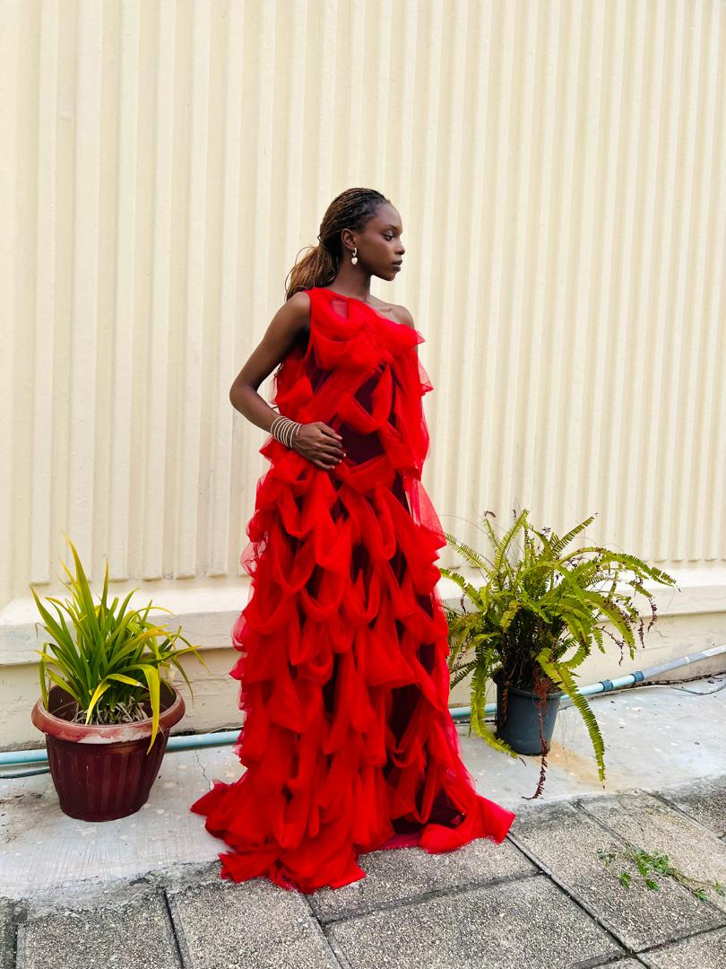 Red Lattice Dress